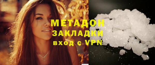 хмурый Аркадак