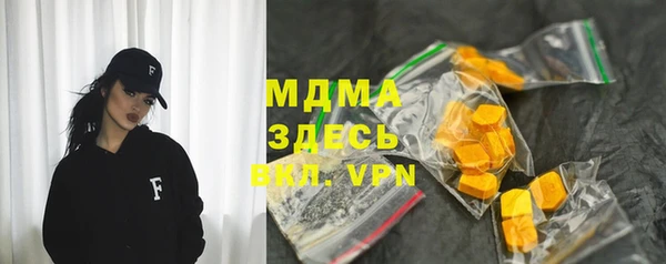 хмурый Аркадак