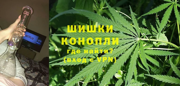 ГАЛЛЮЦИНОГЕННЫЕ ГРИБЫ Армянск