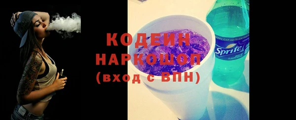 хмурый Аркадак