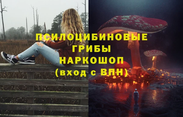 apvp Волосово