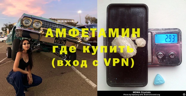 хмурый Аркадак