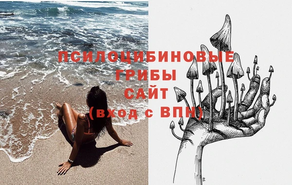 ГАЛЛЮЦИНОГЕННЫЕ ГРИБЫ Армянск