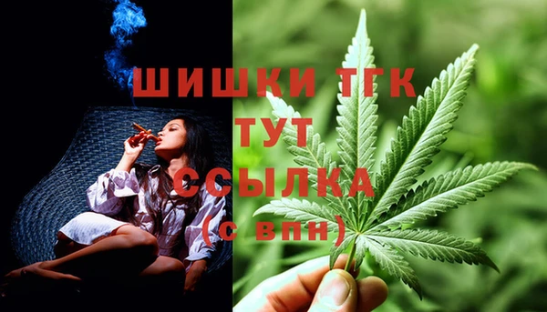 хмурый Аркадак
