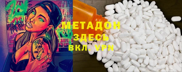 хмурый Аркадак
