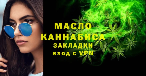 хмурый Аркадак