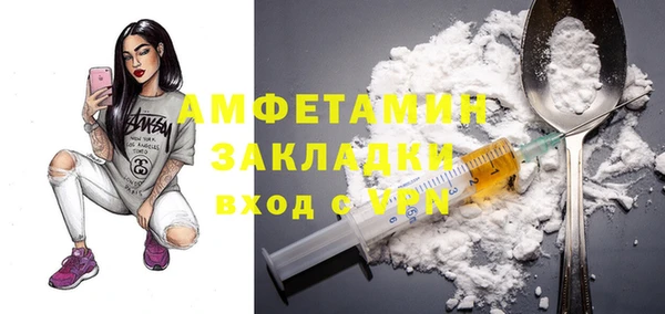 хмурый Аркадак