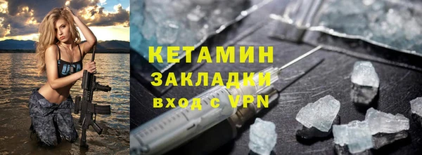 хмурый Аркадак