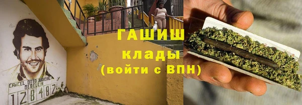 хмурый Аркадак