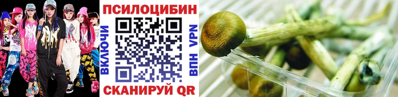 Псилоцибиновые грибы Psilocybe  MEGA ссылка  Ногинск 