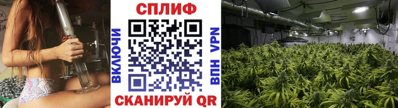 Бошки марихуана SATIVA & INDICA  мориарти телеграм  Ногинск 